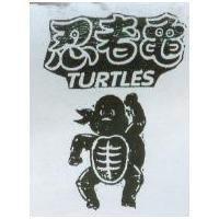 忍者龜 TURTLES 及龜人圖