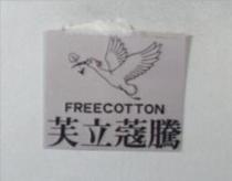 芙立蔻騰及圖 FREECOTTON