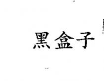 黑盒子