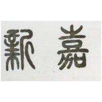 嘉新