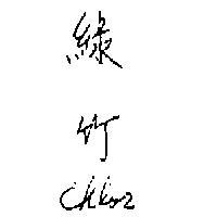 綠竹 CHLOR 