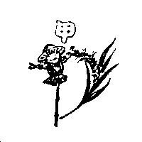 甲及圖