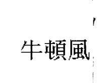 牛頓風