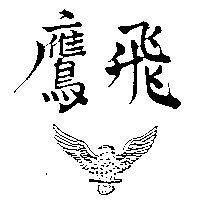 飛鷹及圖