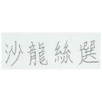 沙龍絲選