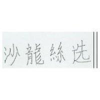 沙龍絲選