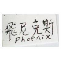 飛尼克斯 PHOENIX