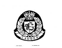 頭盔圖形上之 LADDER 標章