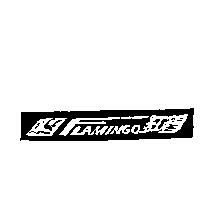 FLAMINGO 紅鶴及圖