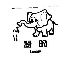 麗的 Leader 及圖