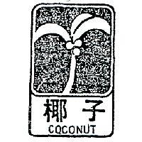 椰子及圖 COCONUT 