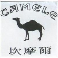 坎摩爾及圖 CAMELE