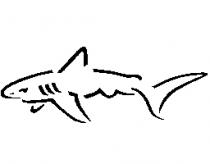Greg Norman Logo
