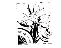 深情一世及圖