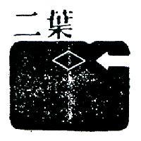二葉及圖