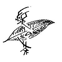 綠茶及圖