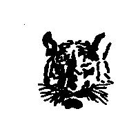 虎圖