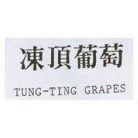 凍頂葡萄 TUNG-TING GRAPES