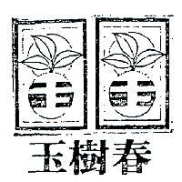 玉樹春及圖