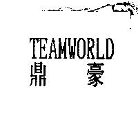 鼎豪 TEAMWORLD