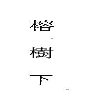 榕樹下