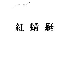 紅蜻蜓