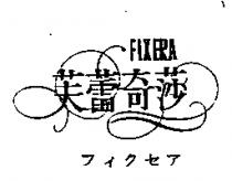 芙蕾奇莎 FIXERA フィクセア