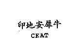 印地安犀牛 CEAT