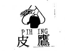 皮鷹 PIH ING 及圖