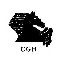 CGH+Horse Design