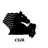 CGH+Horse Design