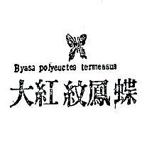 大紅紋鳳蝶及圖 BYASA POLYEUCTES TERMESSUS 