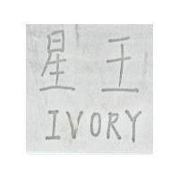 偉佳貿易有限公司