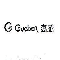 高威 G GUABER 