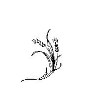 麥穗圖