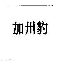 加州豹