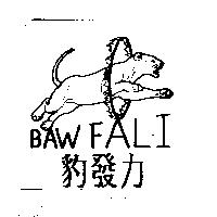豹發力 BAW FALI 及圖