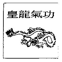 皇龍氣功及圖