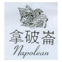 拿破崙 Napolean 及圖