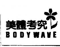 美體考究及圖 BODYWAVE