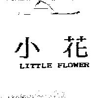 小花 LITTLE FLOWER