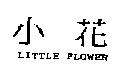 小花 LITTLE FLOWER