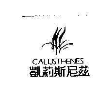 凱莉斯尼茲及圖CALLISTHENES