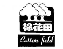 棉花田 Cotton field 及圖