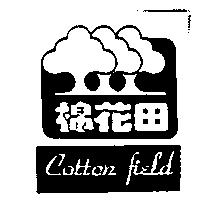 棉花田 Cotton field 及圖