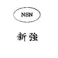 新強 NSN 及圖