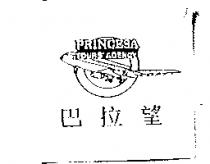 巴拉望及圖 PRINGESA TOURS AGENCY