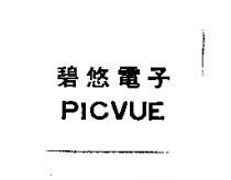 碧悠 PICVUE