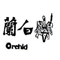 白蘭 ORCHID 