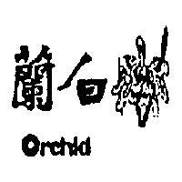 白蘭 ORCHID 